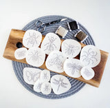 Olmsted Needlework Co. - Insect Stick and Stitch Embroidery Patterns - Pisgah Needleworks