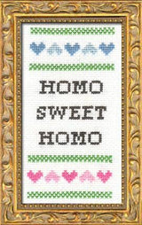 Subversive Cross Stitch - Homo Sweet Homo: Deluxe Kit - Pisgah Needleworks