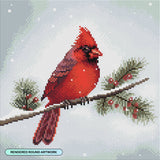 Diamond Art Club - Winter Cardinal: Round with 42 Colors including 3 ABs and 1 Special Diamonds / 13,657 / 13" x 13" (32.8cm x 32.8cm) - Pisgah Needleworks
