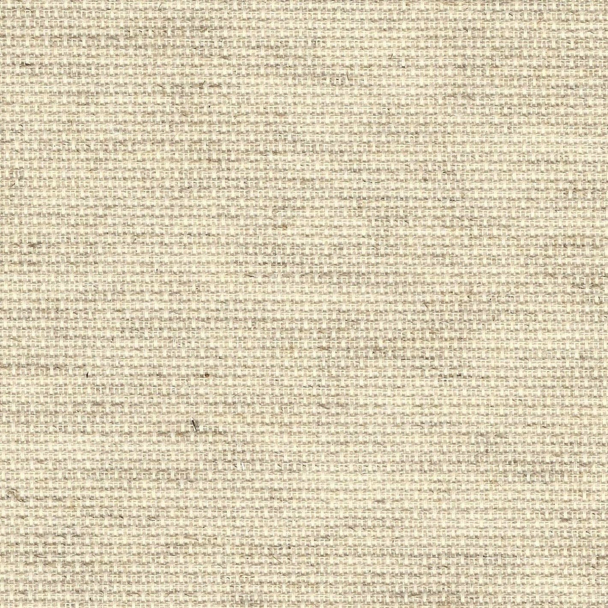 HobbyJobby - Zweigart Rustico Aida 14ct Count Fabric: 19.60" x 43" - Pisgah Needleworks