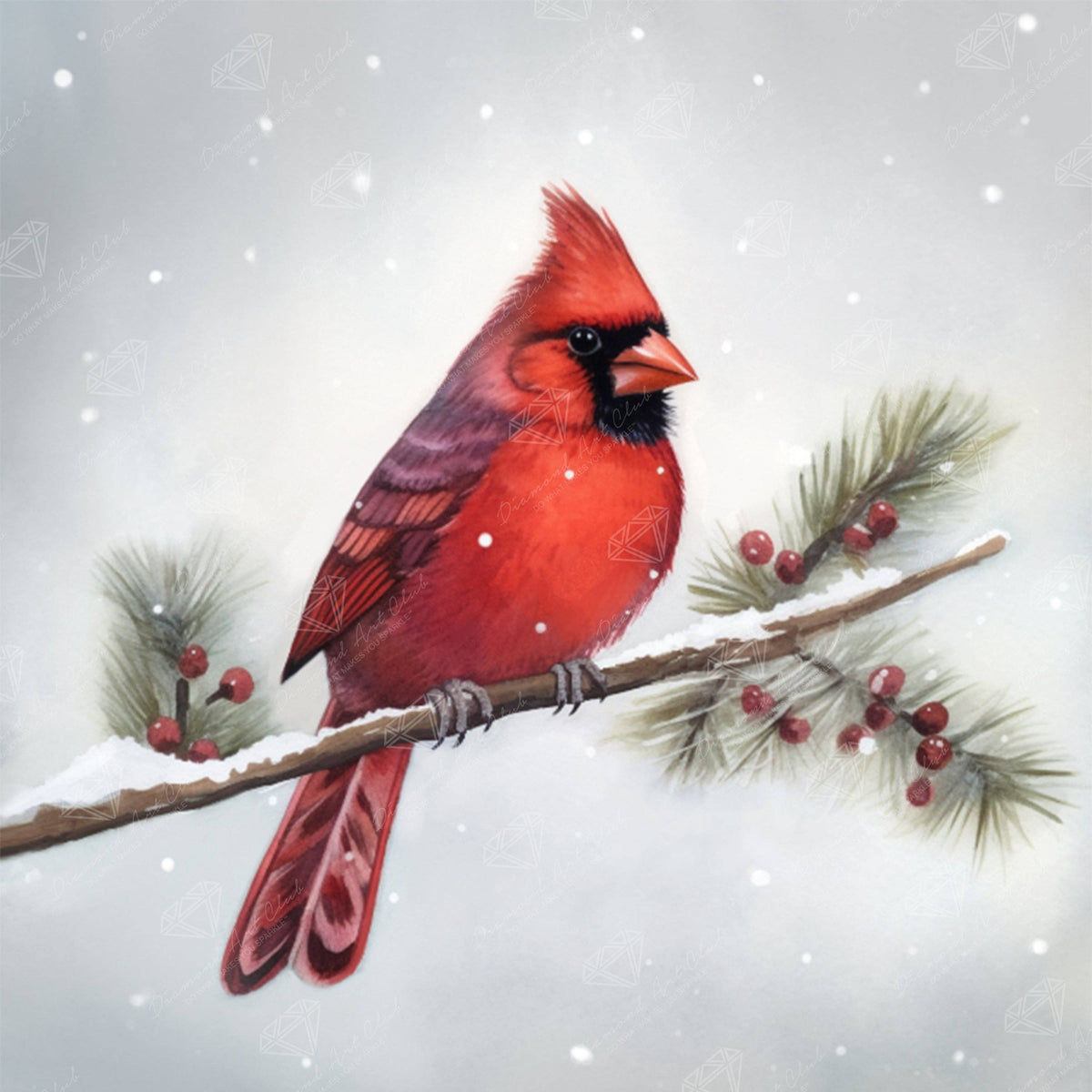 Diamond Art Club - Winter Cardinal: Round with 42 Colors including 3 ABs and 1 Special Diamonds / 13,657 / 13" x 13" (32.8cm x 32.8cm) - Pisgah Needleworks
