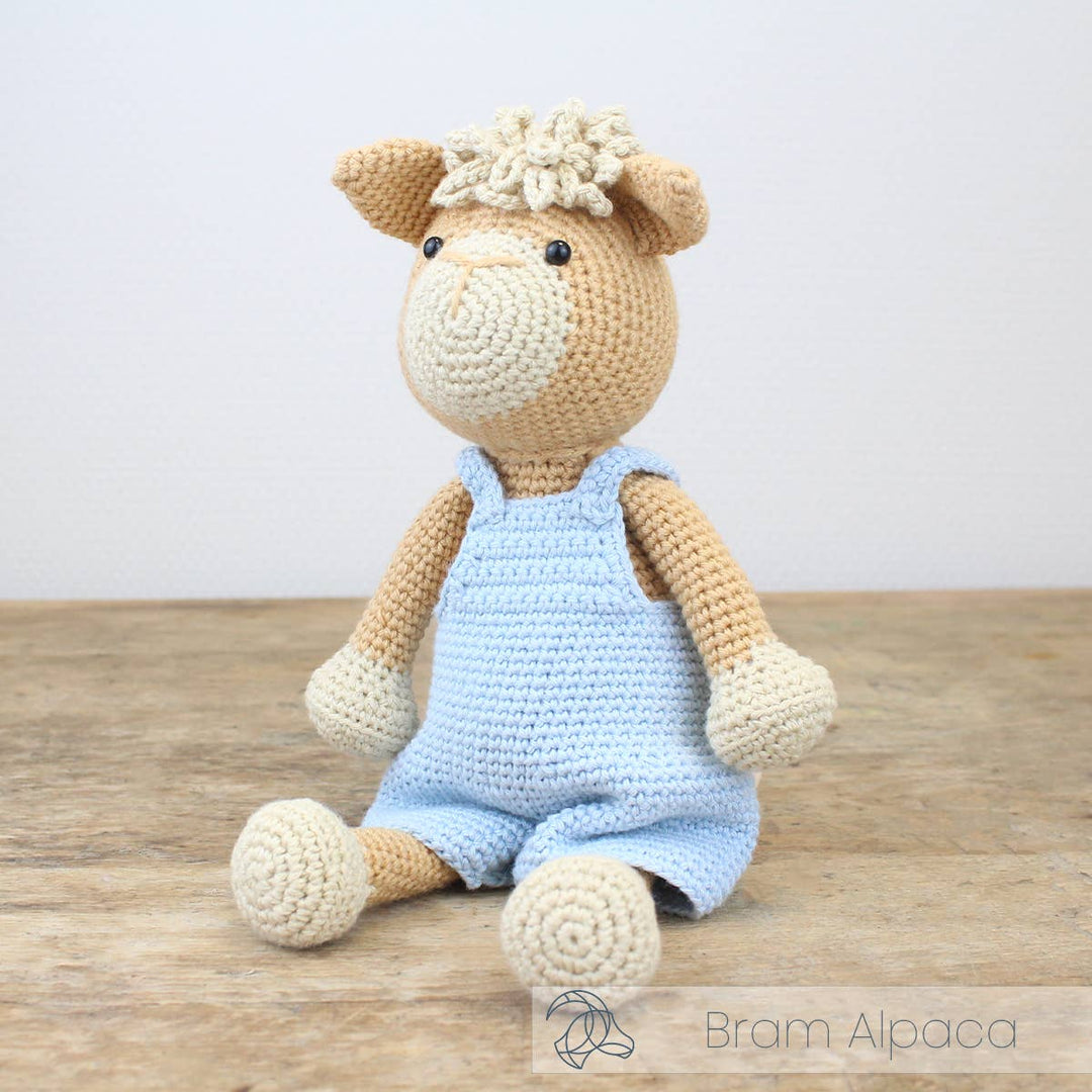 Hardicraft USA - DIY Crochet Kit - Bram Alpaca - Pisgah Needleworks