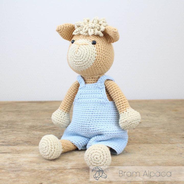 Hardicraft USA - DIY Crochet Kit - Bram Alpaca - Pisgah Needleworks