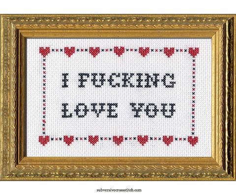 Subversive Cross Stitch I F*cking Love You Deluxe Cross Stitch Kit | Funny Romantic Cross Stitch Kit