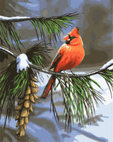 Red cardinal bird perched on a branch with snow and pine cones in the background