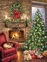 Diamond Art Club - Fireside Christmas: Square with 60 Colors including 3 AB and 2 Fairy Dust Diamonds / 104,813 / 27.6" x 36.6" (70cm x 93cm) - Pisgah Needleworks