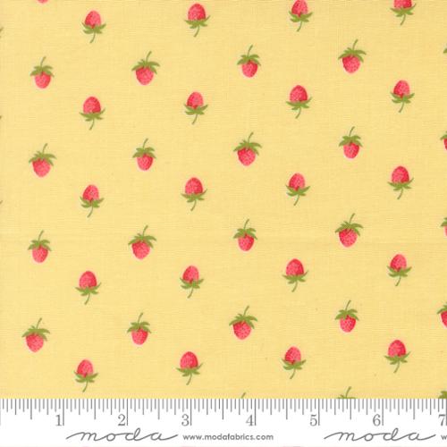 Moda Bloomsberry Jelly Roll by Camille Roskelley | 2.5" Precut Fabric Strips