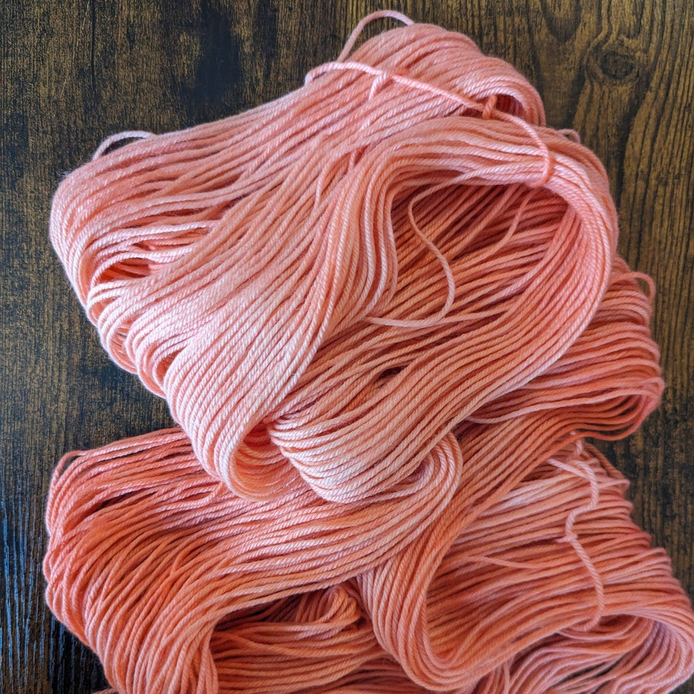 Briar Patch Fibre Co. DK Merino Wool – “Geras” Hand - Dyed Yarn (100g) - Pisgah Needleworks