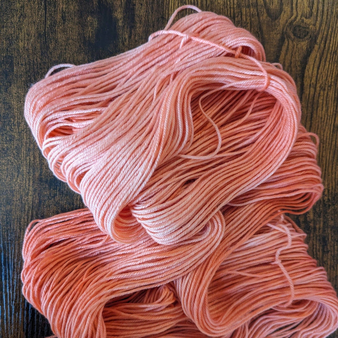 Briar Patch Fibre Co. DK Merino Wool – “Geras” Hand - Dyed Yarn (100g) - Pisgah Needleworks