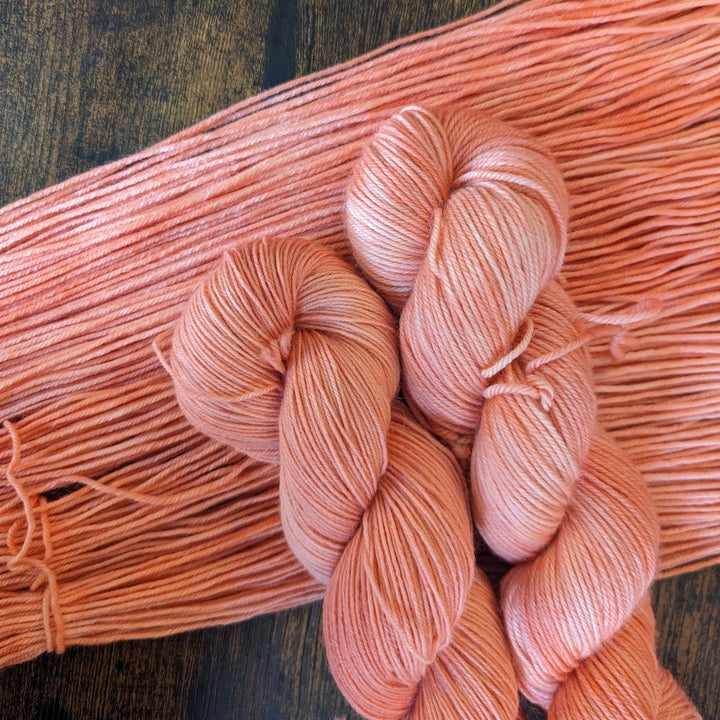 Briar Patch Fibre Co. DK Merino Wool – “Geras” Hand - Dyed Yarn (100g) - Pisgah Needleworks