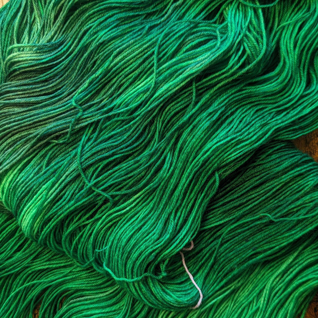 Briar Patch Fibre Co. DK Merino Wool – “Nature” Hand - Dyed Yarn (100g) - Pisgah Needleworks