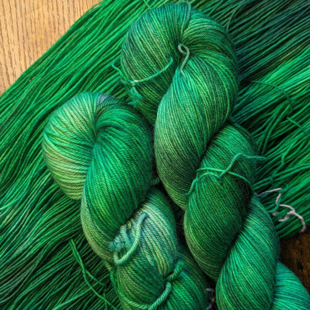 Briar Patch Fibre Co. DK Merino Wool – “Nature” Hand - Dyed Yarn (100g) - Pisgah Needleworks