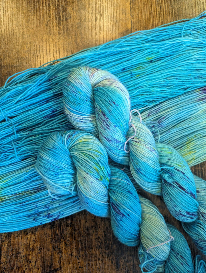 Briar Patch Fibre Co. DK Merino Wool – “Poseidon” Hand - Dyed Yarn (100g) - Pisgah Needleworks