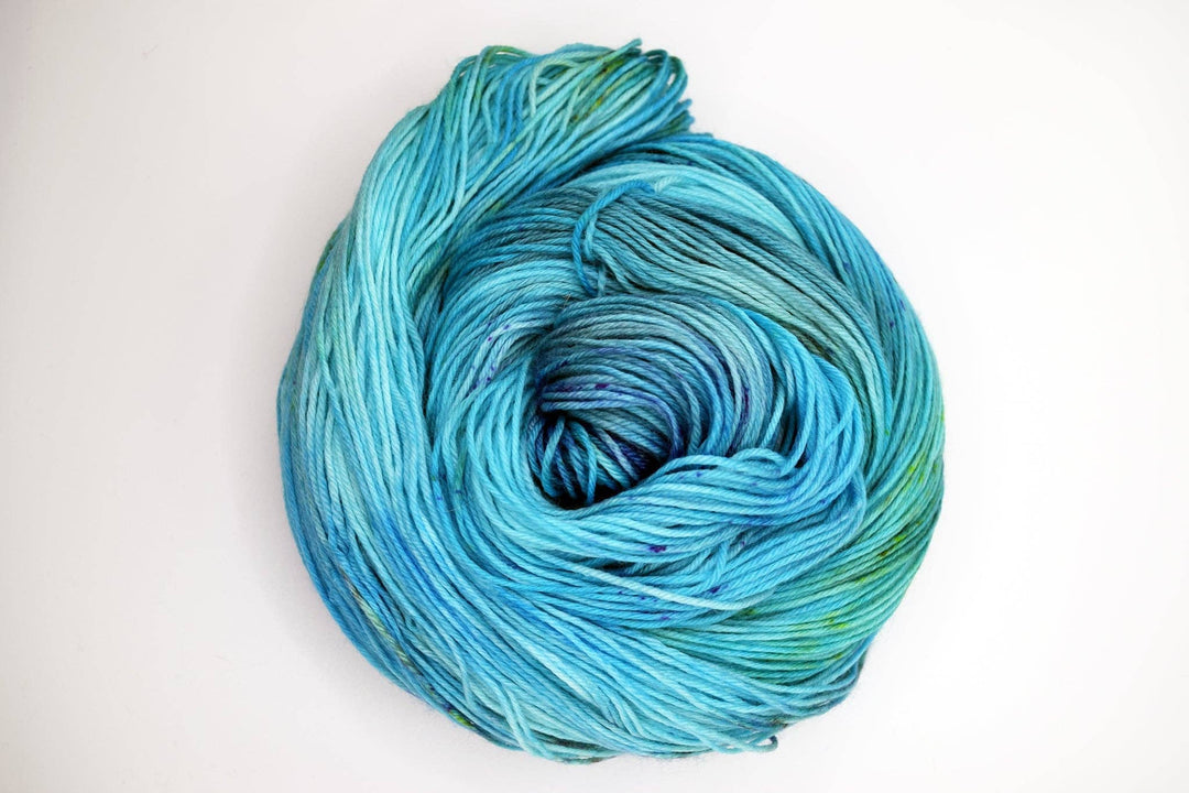 Briar Patch Fibre Co. DK Merino Wool – “Poseidon” Hand - Dyed Yarn (100g) - Pisgah Needleworks