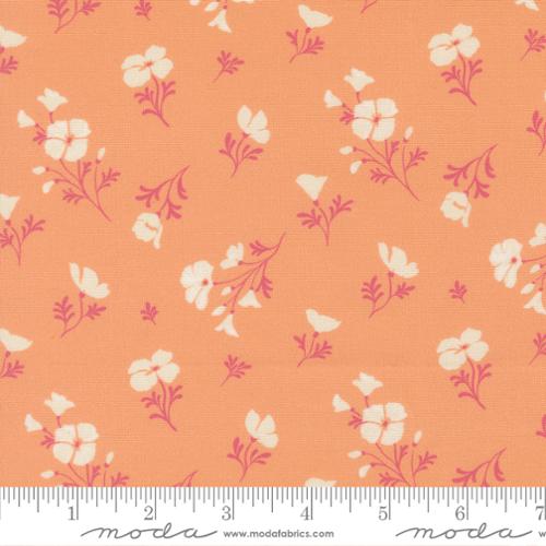 Cannon Beach Collection by Moda Fabrics - Pisgah Needleworks