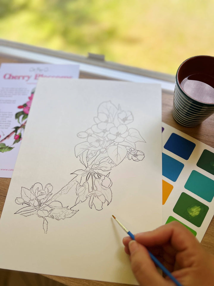 Cate Paper Co. - Cherry Blossoms watercolor painting kit - Pisgah Needleworks