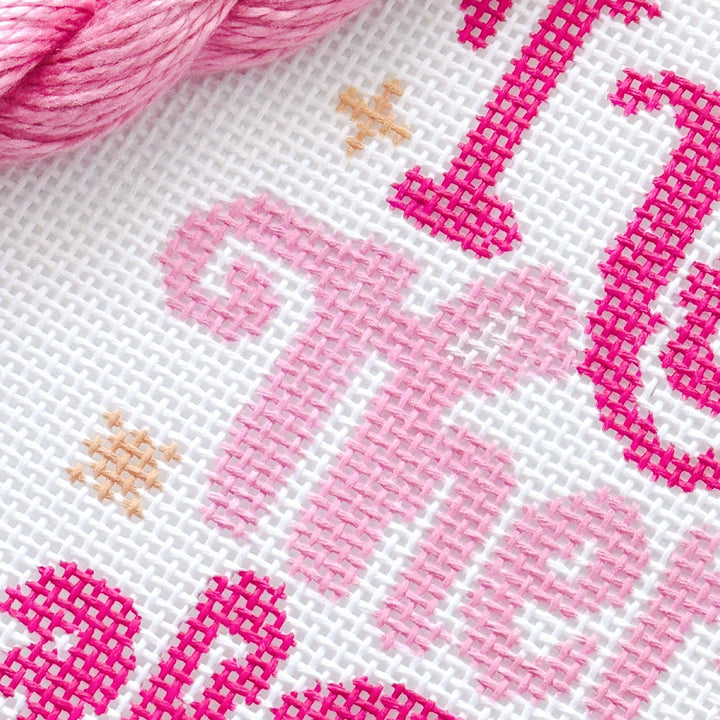 Cotswold Co Designs - Mental Health Needlepoint Canvas, Modern Cheeky Needlepoint Pillow Canvas, 13 Mesh, 9”x6” design, Snarky Needlepoint Canvas - Pisgah Needleworks