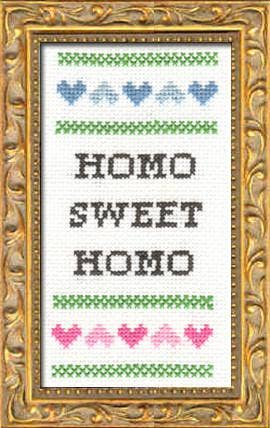 Deluxe Cross Stitch Kit – “Homo Sweet Homo” Funny Housewarming Pattern - Pisgah Needleworks