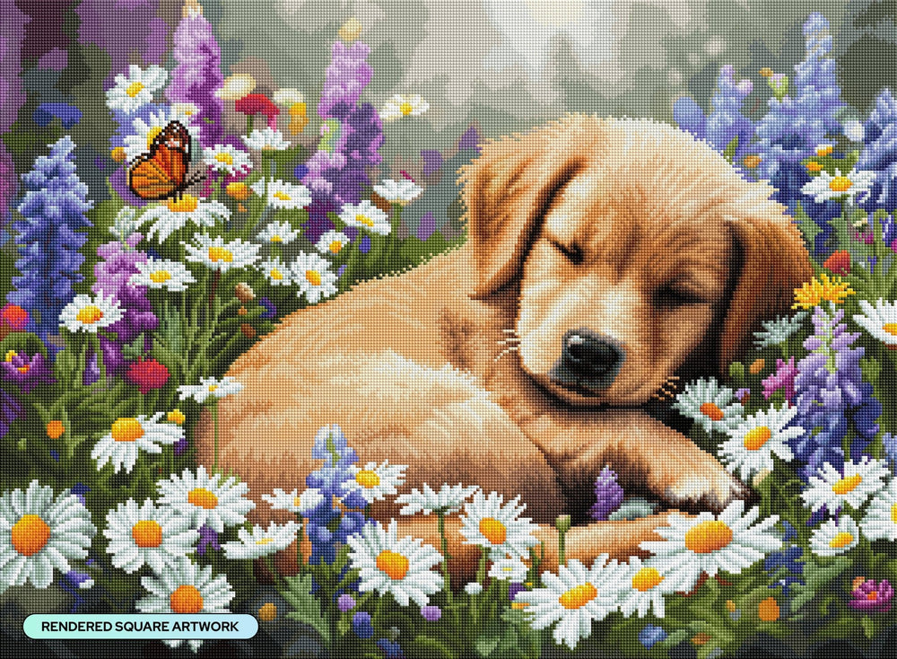 Diamond Art Club® Sweet Dreams Diamond Painting Kit – Square Drill - Pisgah Needleworks