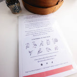 Olmsted Needlework Co. - Bird Embroidery Stick and Stitch Patterns - Pisgah Needleworks