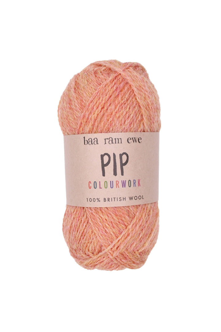 Fairmount Fibers - Pip Colourwork: 028 Chevin - Pisgah Needleworks