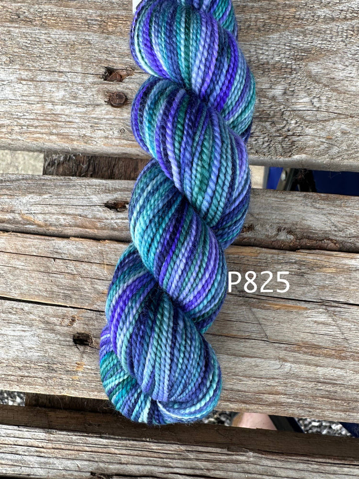 Koigu KPPPM – Bridgerton Collection Hand - Dyed Merino (P076) - Pisgah Needleworks