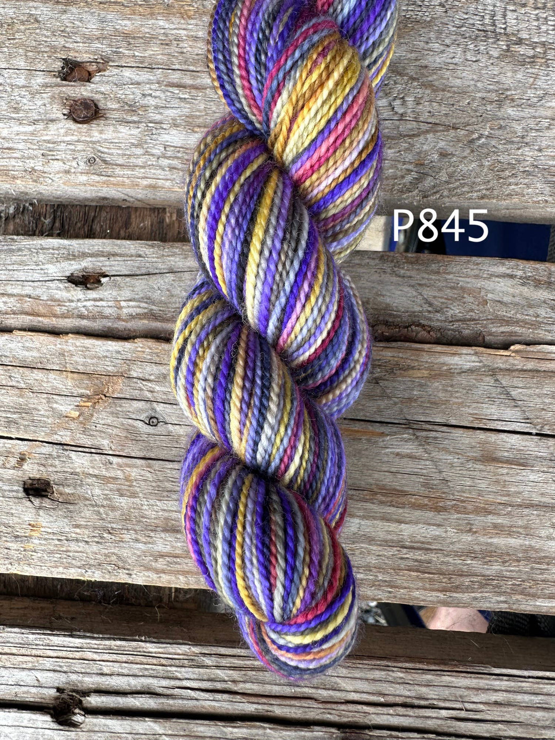 Koigu KPPPM – Bridgerton Collection Hand - Dyed Merino (P845) - Pisgah Needleworks