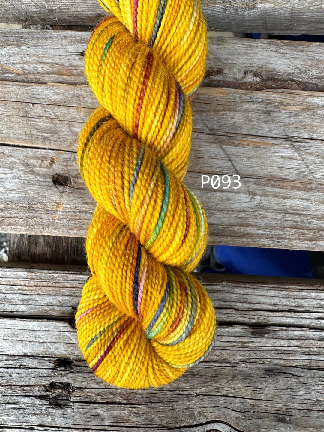 Koigu KPPPM – Bridgerton Collection Hand - Dyed Merino (P845) - Pisgah Needleworks