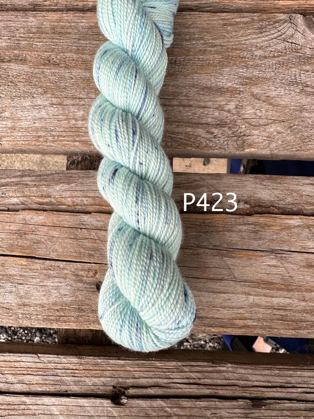 Koigu KPPPM – Bridgerton Collection Hand - Dyed Merino (P845) - Pisgah Needleworks