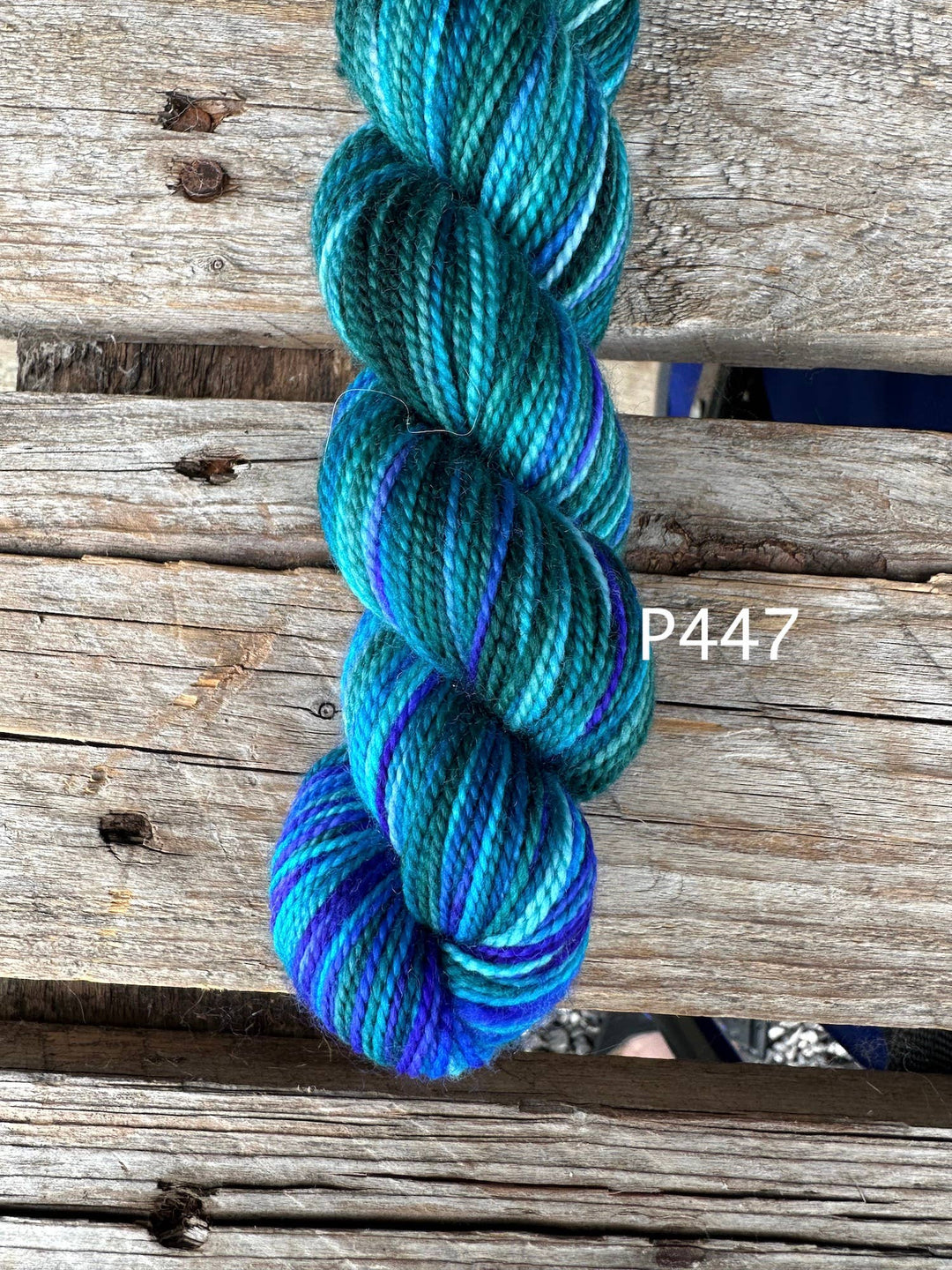 Koigu KPPPM – Bridgerton Collection Hand - Dyed Merino (P845) - Pisgah Needleworks
