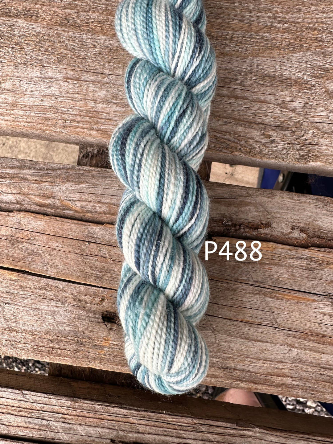 Koigu Wool Designs - Bridgerton Collection KPPPM : P488 - Pisgah Needleworks