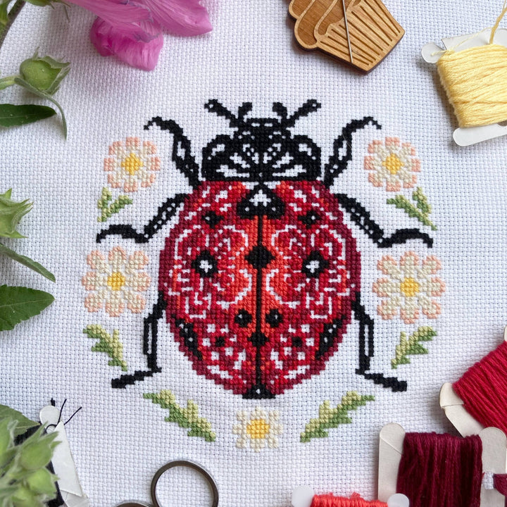 Lil’ Ladybird Cross Stitch Kit – Love Poppet Beginner Set - Pisgah Needleworks