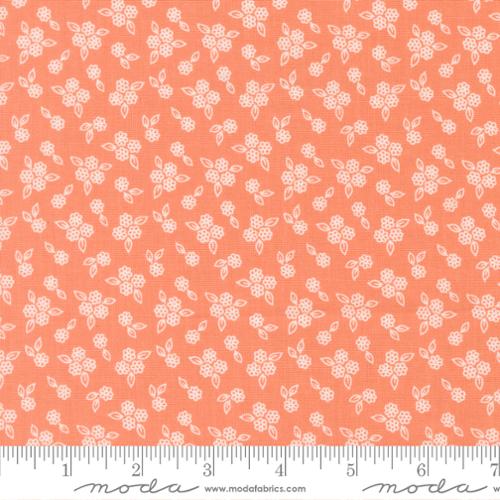 Pastel Prairie by Moda Fabrics – Premium Quilting Cotton (Sold in ¼ Yard Increments) - Pisgah Needleworks