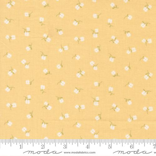 Pastel Prairie by Moda Fabrics – Premium Quilting Cotton (Sold in ¼ Yard Increments) - Pisgah Needleworks