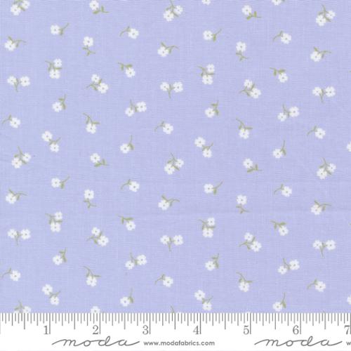 Pastel Prairie by Moda Fabrics – Premium Quilting Cotton (Sold in ¼ Yard Increments) - Pisgah Needleworks