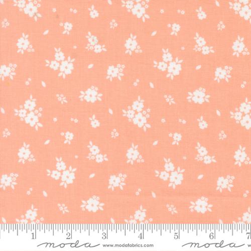 Pastel Prairie by Moda Fabrics – Premium Quilting Cotton (Sold in ¼ Yard Increments) - Pisgah Needleworks