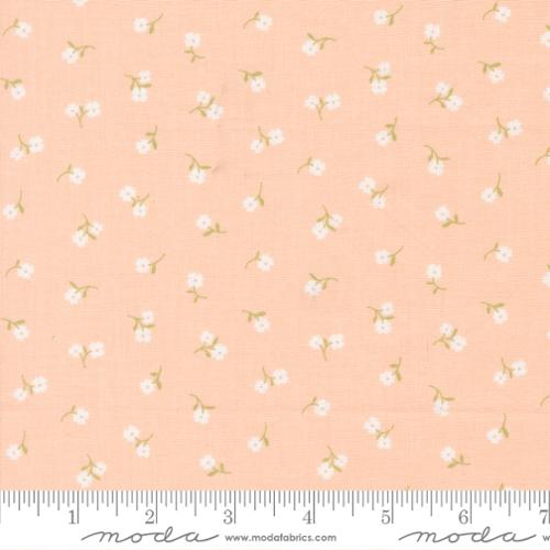 Pastel Prairie by Moda Fabrics – Premium Quilting Cotton (Sold in ¼ Yard Increments) - Pisgah Needleworks