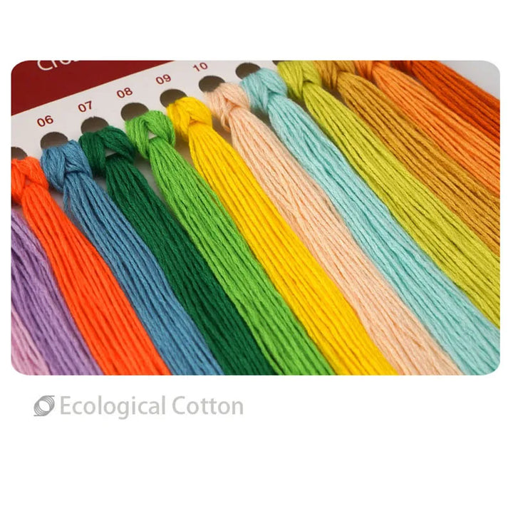 Colorful embroidery threads on a cardboard strip with 'Ecological Cotton' label.