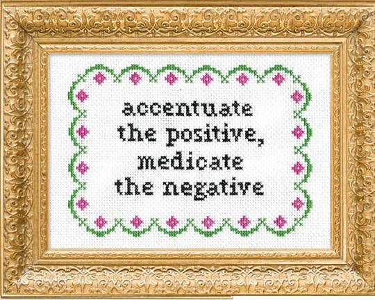 Subversive Cross Stitch – Accentuate the Positive Deluxe Kit - Pisgah Needleworks