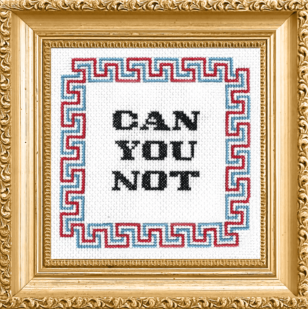 Subversive Cross Stitch Can You Not Deluxe Cross Stitch Kit - Pisgah Needleworks
