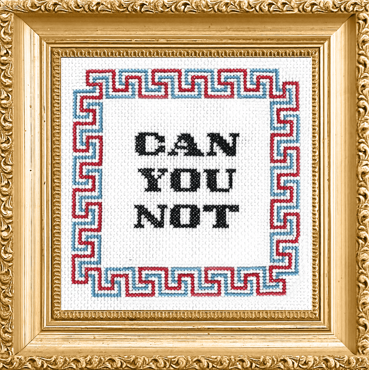 Subversive Cross Stitch Can You Not Deluxe Cross Stitch Kit - Pisgah Needleworks