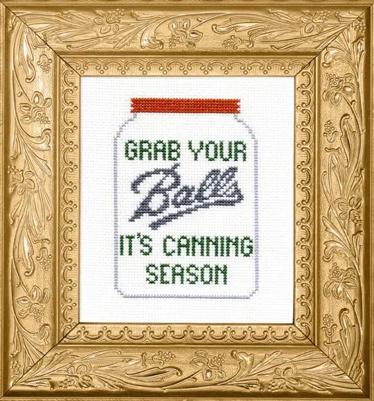 Subversive Cross Stitch – Grab Your Balls Deluxe Cross Stitch Kit - Pisgah Needleworks