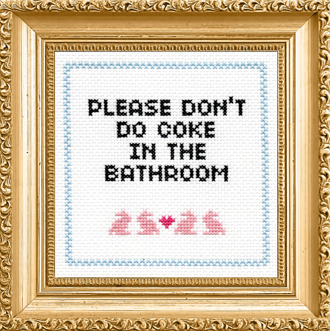 Subversive Cross Stitch Please Don’t Do Coke in the Bathroom Deluxe Kit - Pisgah Needleworks