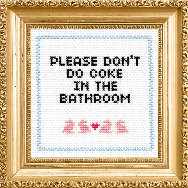Subversive Cross Stitch Please Don’t Do Coke in the Bathroom Deluxe Kit - Pisgah Needleworks
