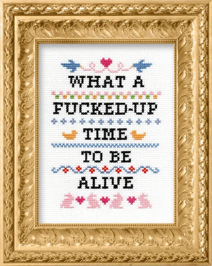 Subversive Cross Stitch – What a F*cked Up Time Deluxe Kit - Pisgah Needleworks