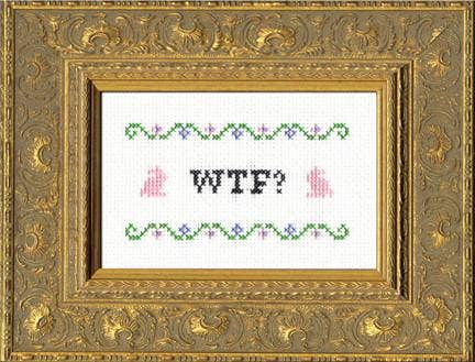 Subversive Cross Stitch WTF Deluxe Cross Stitch Kit with Hoop - Pisgah Needleworks